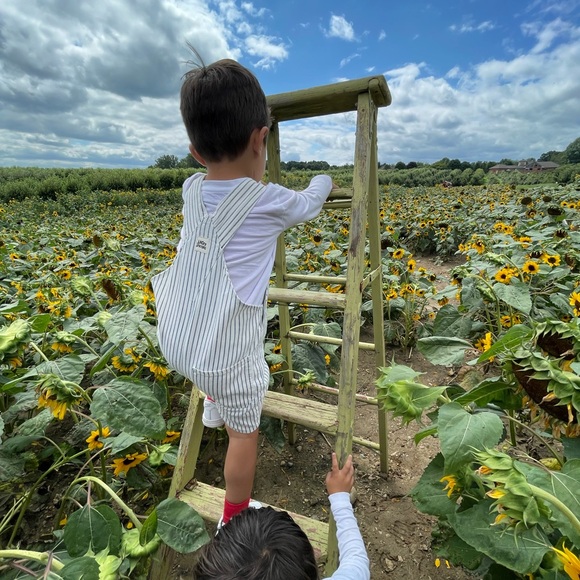 LIKE TO BE NOTIFIED WHEN I GO LIVE Meet your Posher, Ledia - Picture 4 of 7